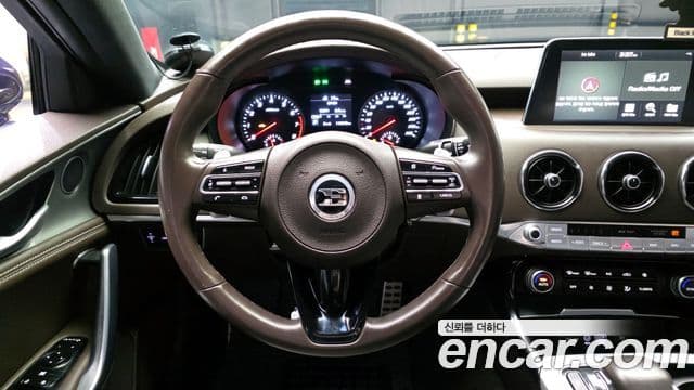 Kia 스팅어 Platinum, 2020 13