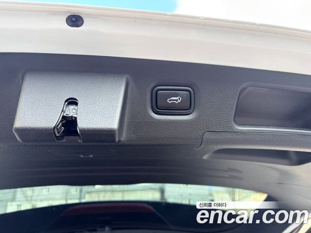 Hyundai Santa Fe TM Exclusive, 2020 17