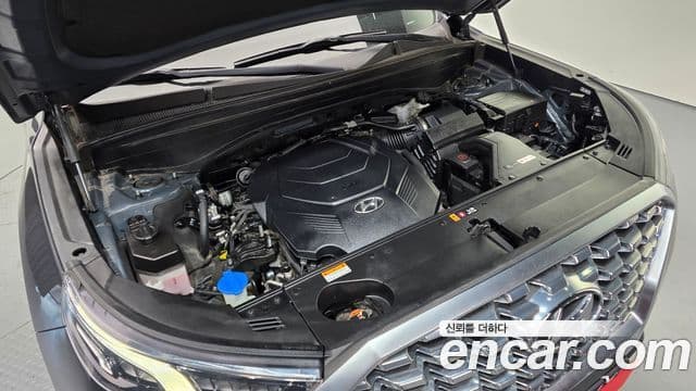 Hyundai Palisade Prestige, 2021 6