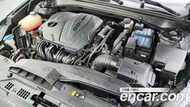 Kia K8 Noblesse, 2022 6