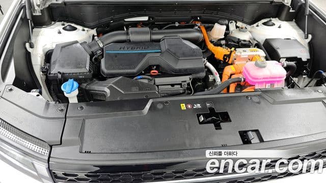 Hyundai Santa Fe (MX5) Calligraphy, 2024 6