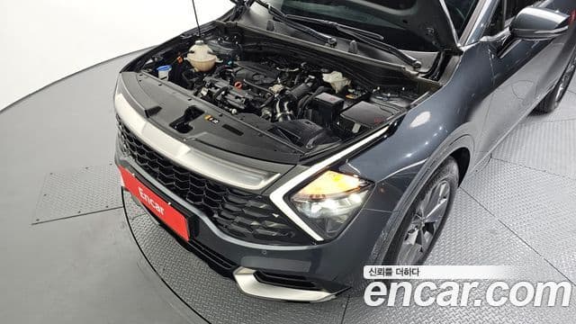 Kia Sportage 5세대 Signature, 2022 6