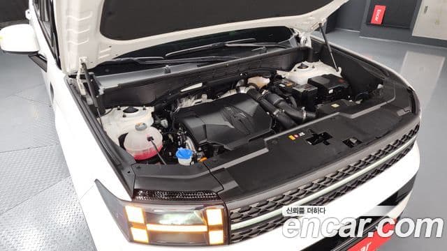 Hyundai Santa Fe (MX5) Calligraphy, 2024 6