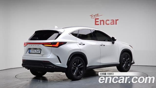 Lexus NX350h 2세대 Premium, 2025 2