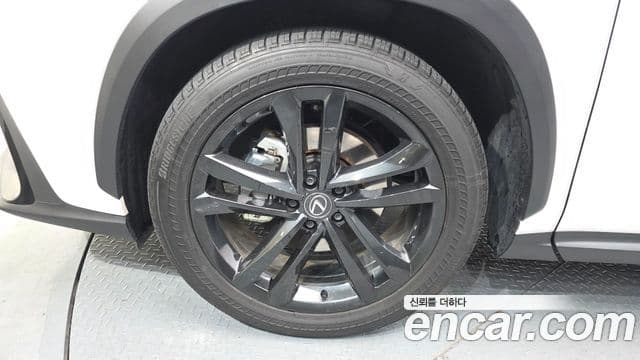 Lexus NX350h 2세대 Premium, 2025 все фото