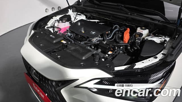 Lexus NX350h 2세대 Premium, 2025 6
