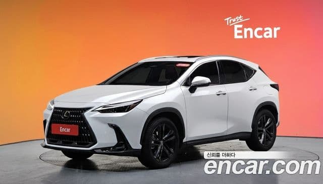 Lexus NX350h 2세대 Premium, 2025 1
