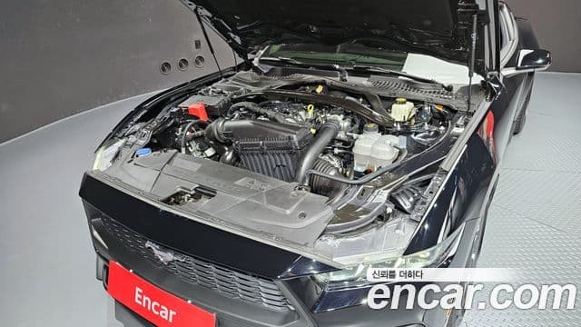 Ford Mustang 7세대 2.3 EcoBoost Premium купе, 2024 6