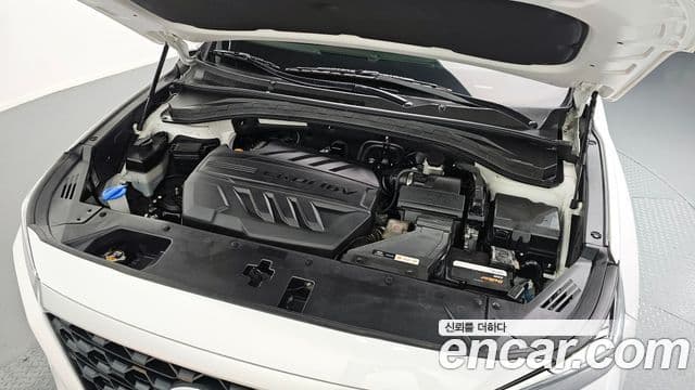 Hyundai Santa Fe TM Exclusive, 2019 6