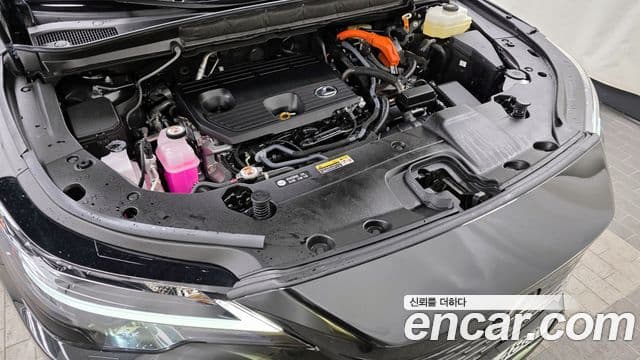 Lexus RX350h 5세대 Premium, 2025 6