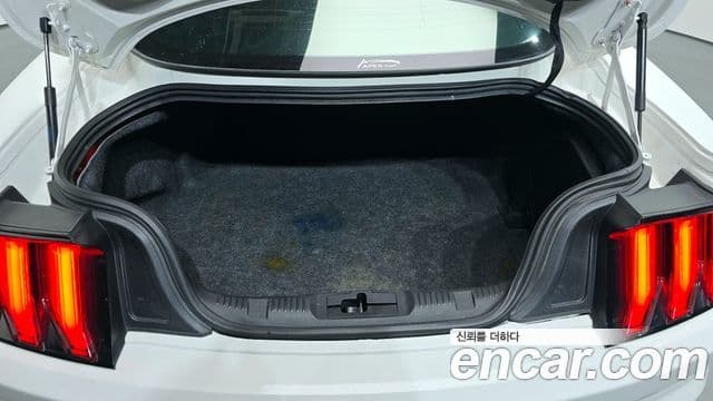 Ford Mustang купе, 2019 20