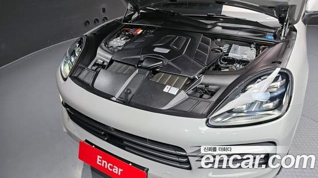 Porsche Cayenne (PO536) 3.0 купе Platinum Edition, 2022 6