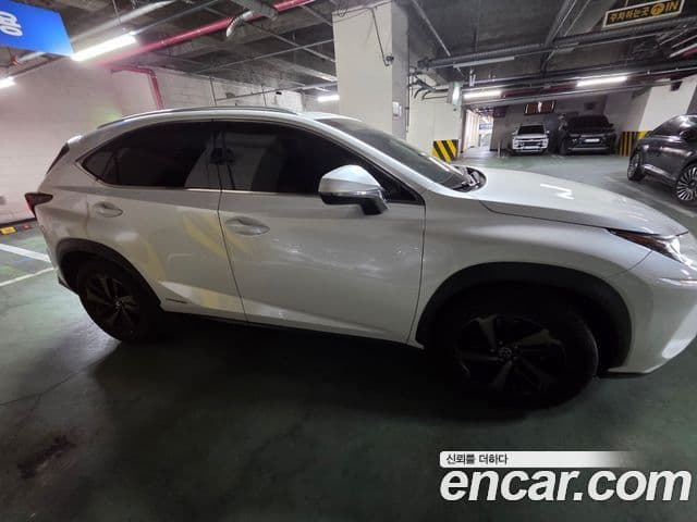 Lexus NX300h Executive, 2019 3