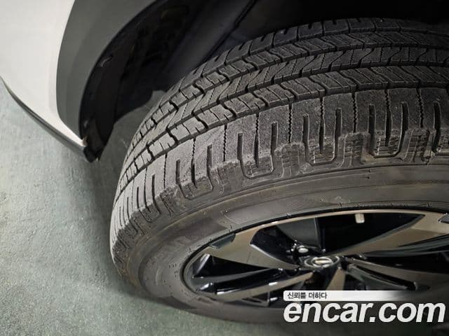 Lexus NX300h Executive, 2019 все фото