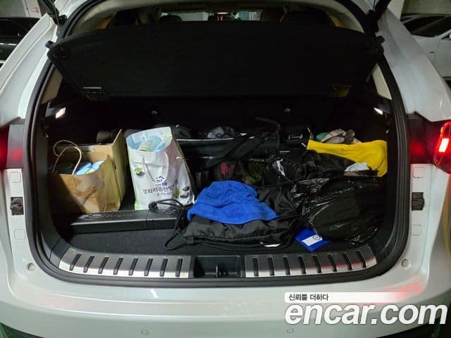 Lexus NX300h Executive, 2019 6