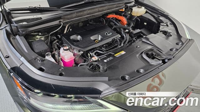 Lexus RX350h 5세대 Luxury, 2024 6