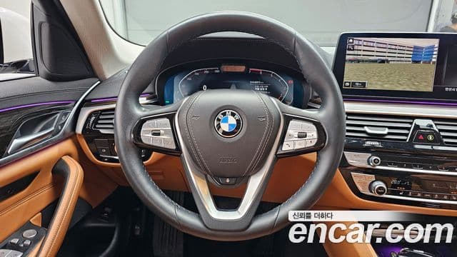 BMW 5시리즈 (G30) Luxury, 2023 13