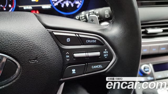 Hyundai Palisade Prestige, 2019 18