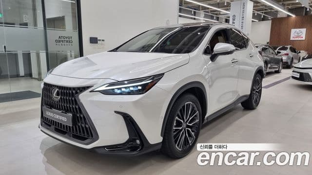 Lexus NX350h 2세대 Luxury, 2025 1