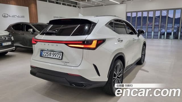 Lexus NX350h 2세대 Luxury, 2025 2