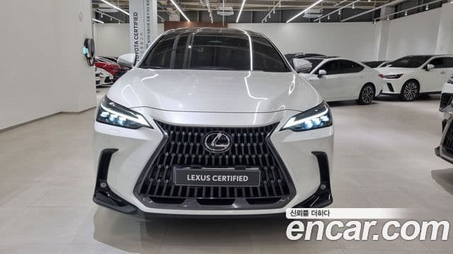 Lexus NX350h 2세대 Luxury, 2025 3