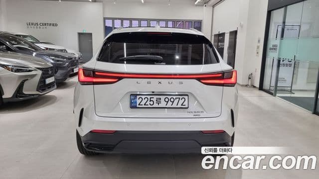 Lexus NX350h 2세대 Luxury, 2025 4