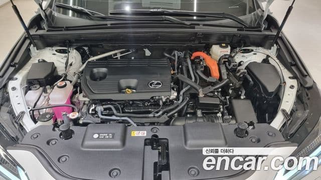 Lexus NX350h 2세대 Luxury, 2025 6