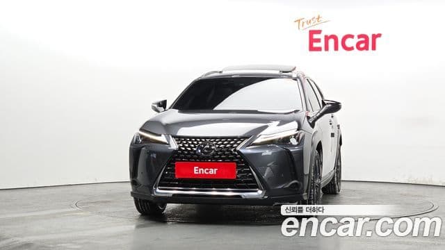 Lexus UX250h, 2024 3