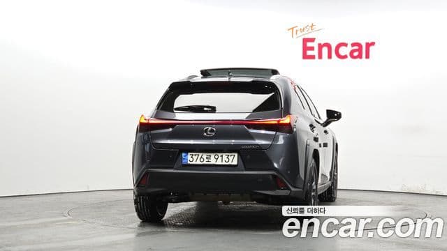 Lexus UX250h, 2024 4