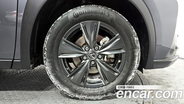 Lexus UX250h, 2024 все фото