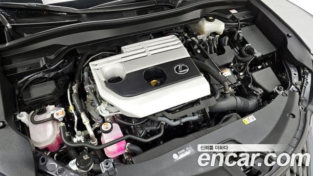 Lexus UX250h, 2024 6