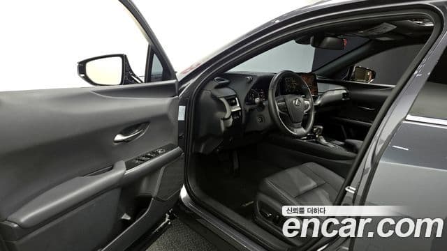 Lexus UX250h, 2024 11