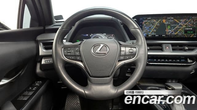 Lexus UX250h, 2024 13