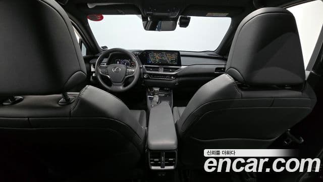 Lexus UX250h, 2024 19