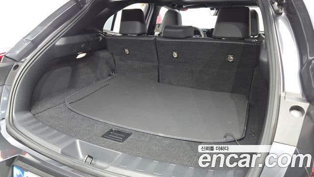 Lexus UX250h, 2024 20