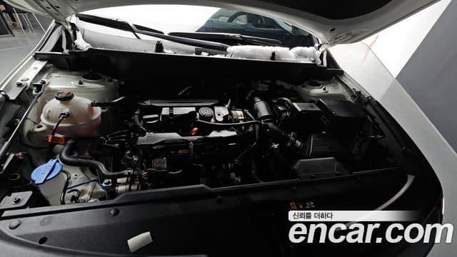 Kia The / новый New Sportage 5세대 Signature, 2025 6