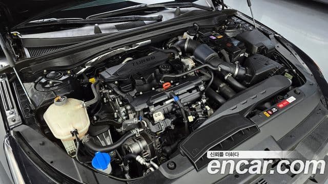 Kia K5 3세대 Noblesse, 2021 6