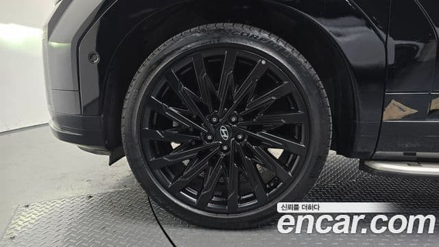 Hyundai Santa Fe (MX5) Calligraphy, 2024 все фото