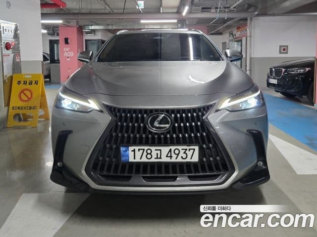 Lexus NX350h 2세대 Premium, 2025 1