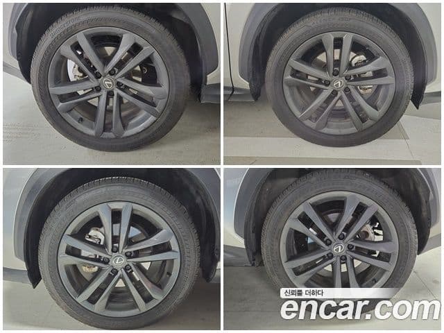 Lexus NX350h 2세대 Premium, 2025 все фото