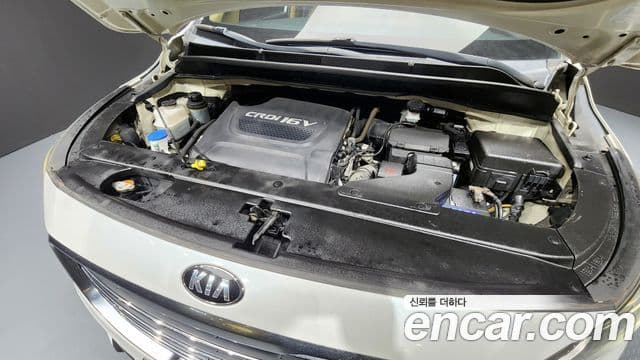 Kia All New Carnival President, 2016 6