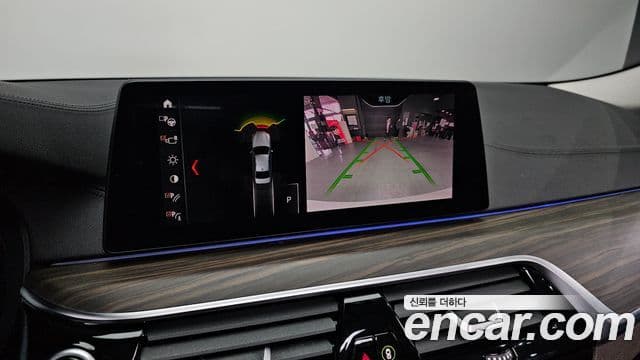 BMW 5시리즈 (G30) 530i xDrive Luxury Plus, 2019 15