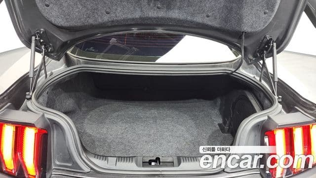 Ford Mustang купе, 2019 20