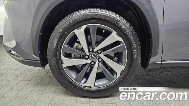 Lexus NX300h Supreme, 2020 все фото