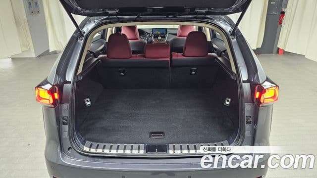 Lexus NX300h Supreme, 2020 20