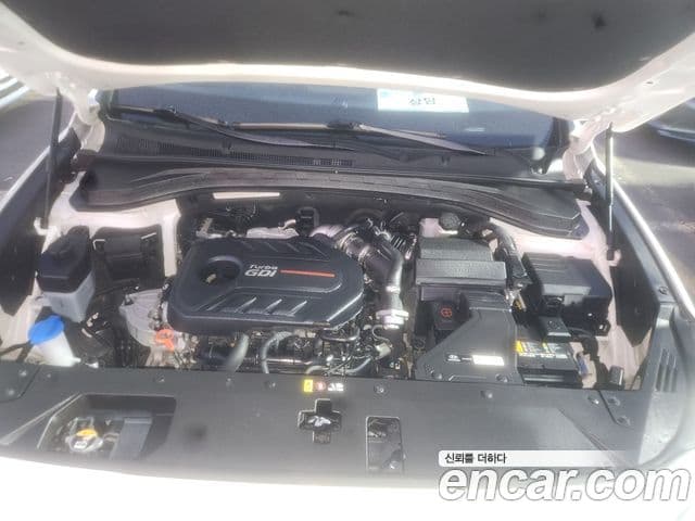 Hyundai Santa Fe TM Exclusive, 2020 15