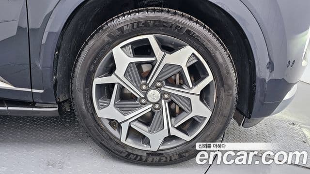 Hyundai Palisade Calligraphy, 2021 все фото