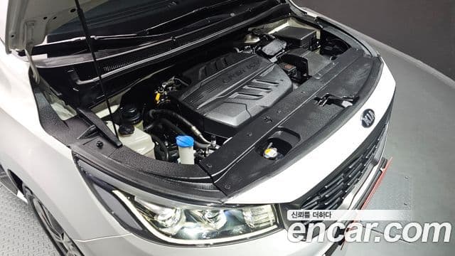 Kia The / новый New Carnival VIP, 2019 6