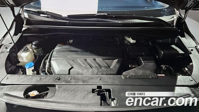 Kia The / новый New Carnival VIP, 2019 6