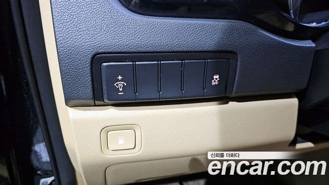 Kia The / новый New Carnival VIP, 2019 14